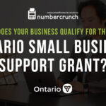 Does Your Business Qualify for the Ontario Small Business Support Grant?